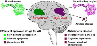 Frontiers | Small-molecule Drugs Development For Alzheimer's Disease